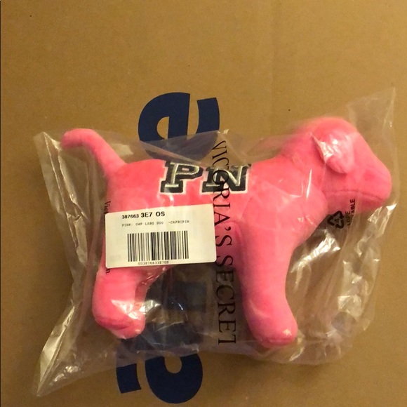 PINK Victoria's Secret Other - VS pink pink nation puppy new